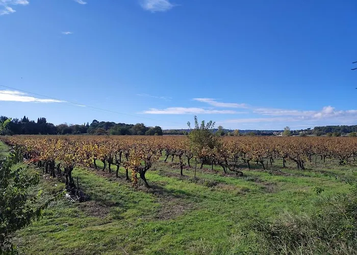 Magnifique Mas Avec Piscine A 5 Minutes D'uzes Vila Montaren-et-Saint-Médiers